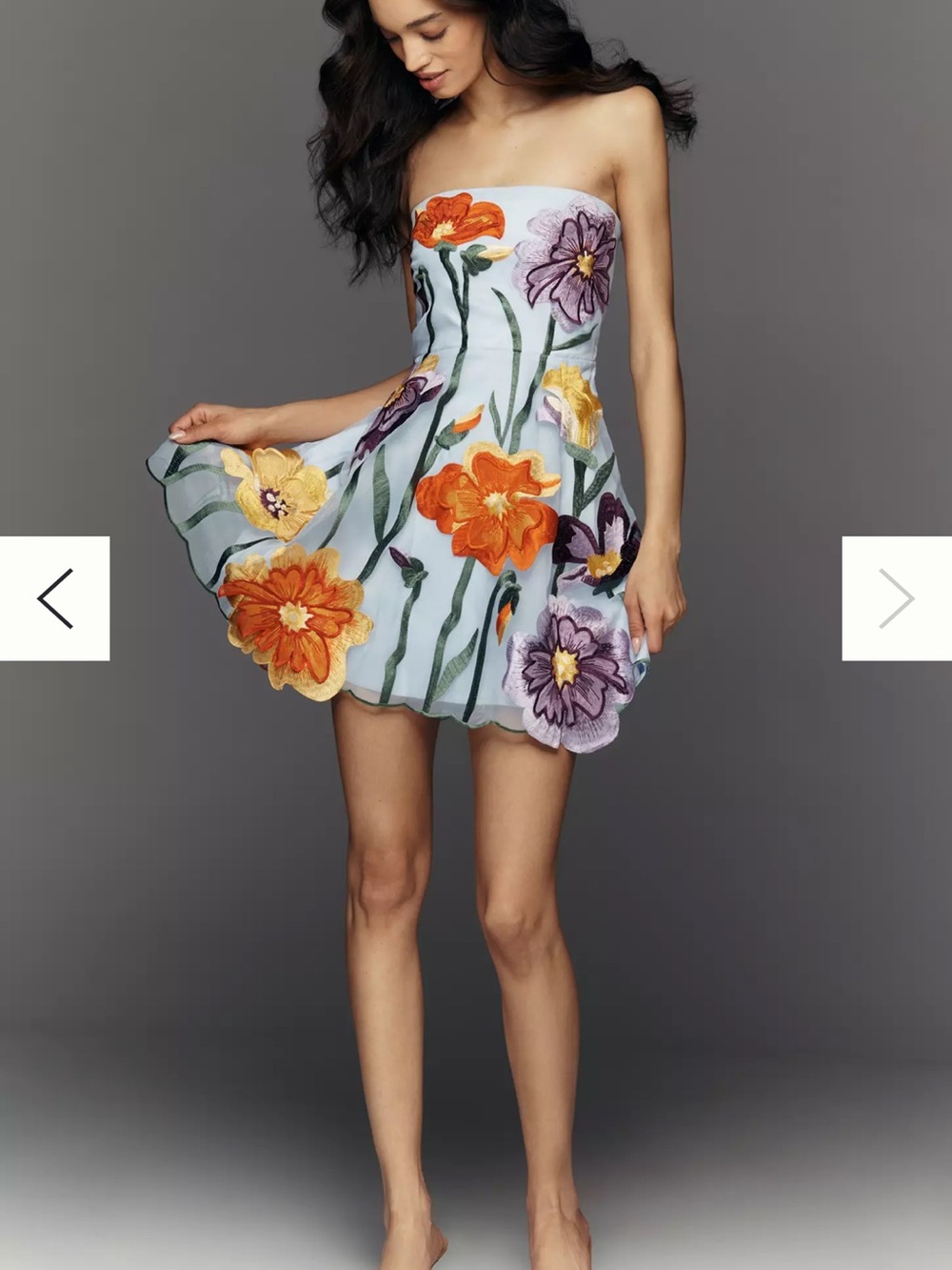 Anthropologie Floral Organza Mini Dress Blue Floral